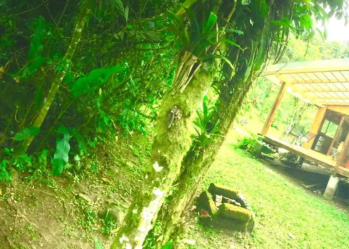 Mindo Eco Suite, Rio Y Cascadas