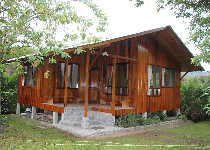 Bird Lover'S House